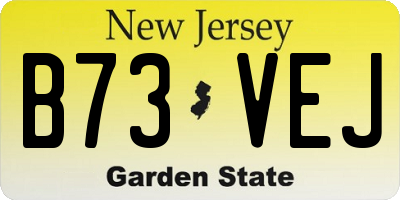NJ license plate B73VEJ