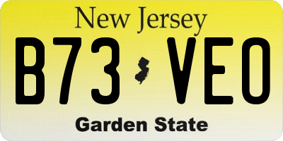 NJ license plate B73VEO