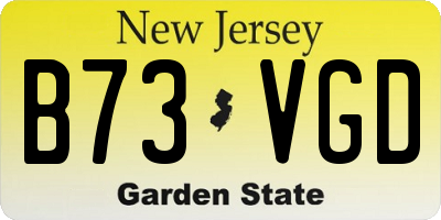 NJ license plate B73VGD