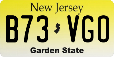 NJ license plate B73VGO
