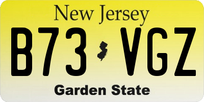 NJ license plate B73VGZ