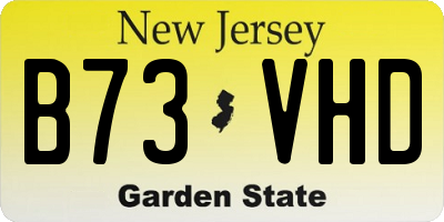 NJ license plate B73VHD