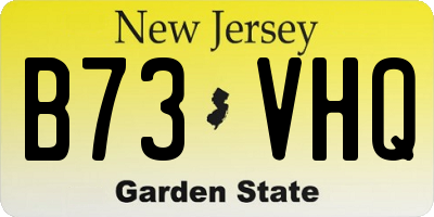 NJ license plate B73VHQ