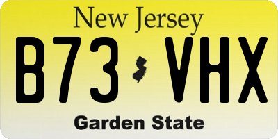 NJ license plate B73VHX