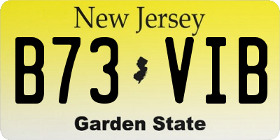 NJ license plate B73VIB