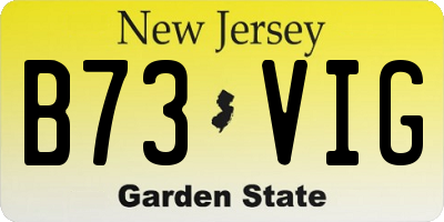 NJ license plate B73VIG