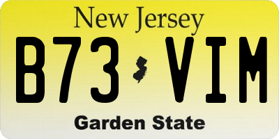NJ license plate B73VIM