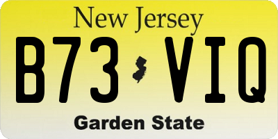 NJ license plate B73VIQ