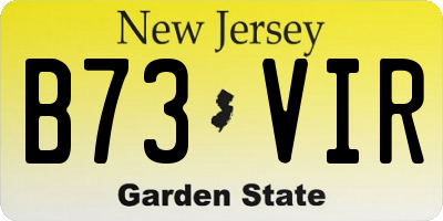 NJ license plate B73VIR