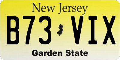 NJ license plate B73VIX