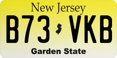 NJ license plate B73VKB
