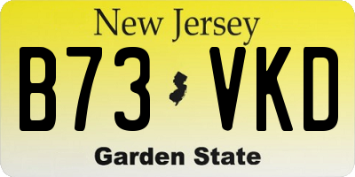 NJ license plate B73VKD