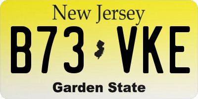 NJ license plate B73VKE