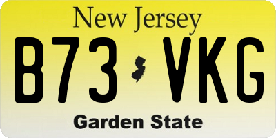NJ license plate B73VKG
