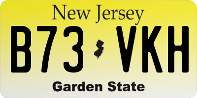 NJ license plate B73VKH