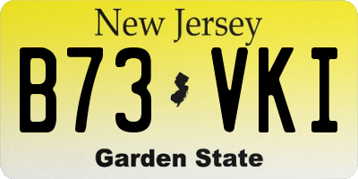 NJ license plate B73VKI