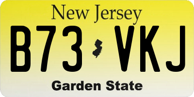 NJ license plate B73VKJ