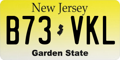 NJ license plate B73VKL