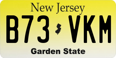 NJ license plate B73VKM