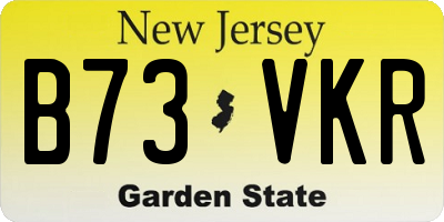 NJ license plate B73VKR