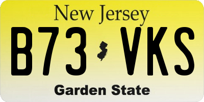 NJ license plate B73VKS