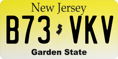 NJ license plate B73VKV