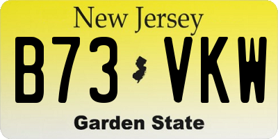 NJ license plate B73VKW