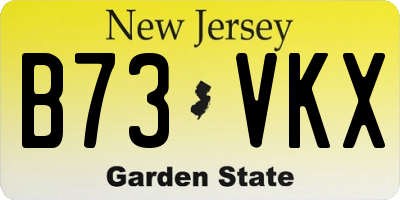 NJ license plate B73VKX