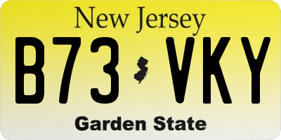 NJ license plate B73VKY