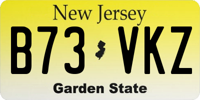 NJ license plate B73VKZ