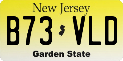 NJ license plate B73VLD