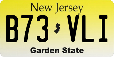 NJ license plate B73VLI