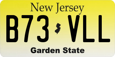 NJ license plate B73VLL