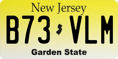 NJ license plate B73VLM