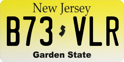 NJ license plate B73VLR