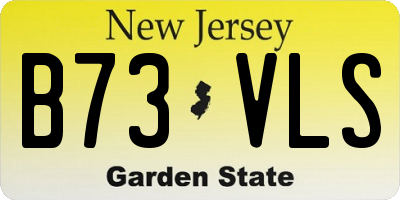 NJ license plate B73VLS