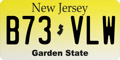NJ license plate B73VLW
