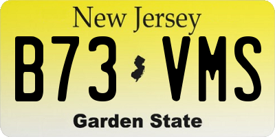 NJ license plate B73VMS