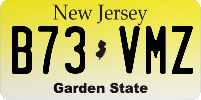 NJ license plate B73VMZ