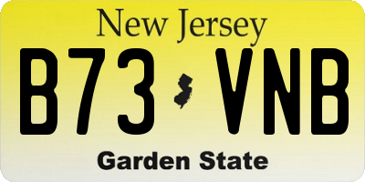 NJ license plate B73VNB