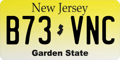 NJ license plate B73VNC