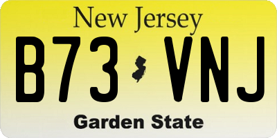 NJ license plate B73VNJ
