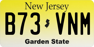 NJ license plate B73VNM
