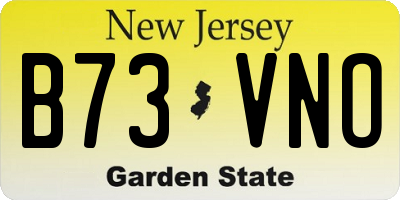 NJ license plate B73VNO