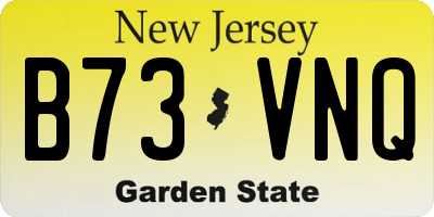 NJ license plate B73VNQ