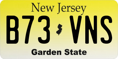 NJ license plate B73VNS
