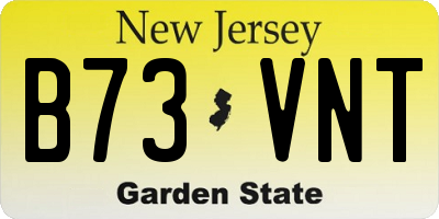 NJ license plate B73VNT