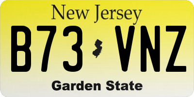 NJ license plate B73VNZ