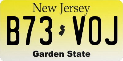 NJ license plate B73VOJ