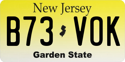 NJ license plate B73VOK